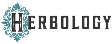 CannaTaxi Business Logo