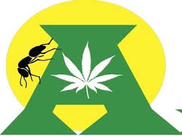 CannaTaxi