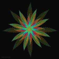 CannaTaxi
