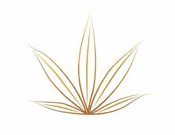 CannaTaxi Business Logo