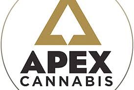 CannaTaxi Business Logo