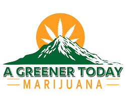 CannaTaxi Business Logo