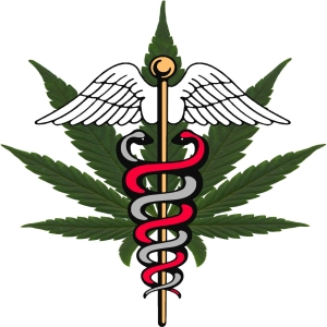 CannaTaxi