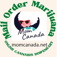 CannaTaxi Business Logo