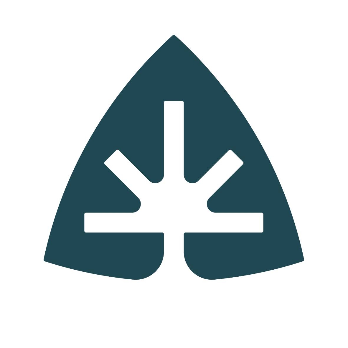 CannaTaxi Business Logo