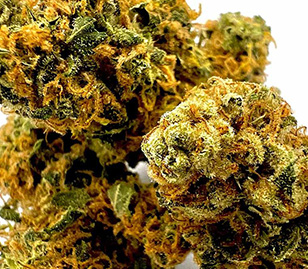 AK47 Cannabis Flower Bud